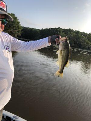 Another one of the bass we caught