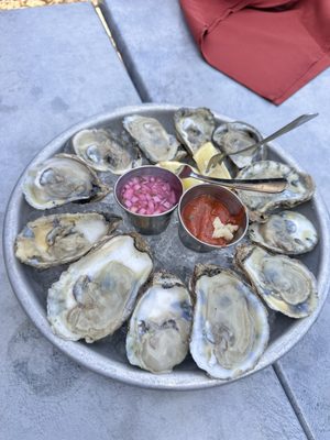 raw oysters