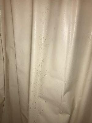 Shower mold