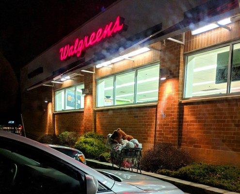 Walgreens, Paoli -- older couple HAULED two shopping carts of clearance V-day bears to their car (this is HALF their huge haul!)