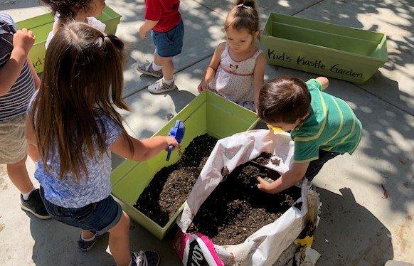 Summer seed planting!