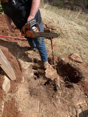 Cutting tree roots over tank