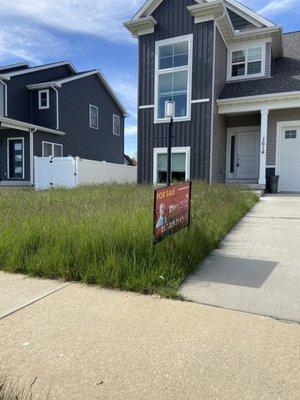 Imagine if the owners knew their yard looked like this while selling remotely!!! Disgusting and abhorrent lack of care.