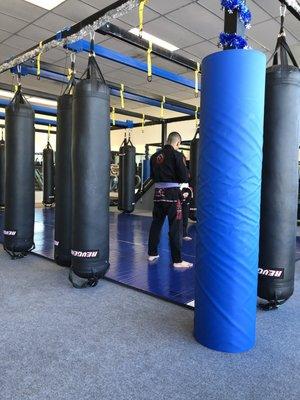 Movable bags to allow for multiple class types (e.g., TRX band training with KB mixed in, BJJ, Muay Thai training, all gym combat, etc.)