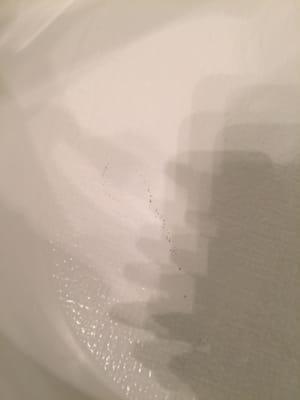 The scratch on the enamel of my tub she couldn't see.