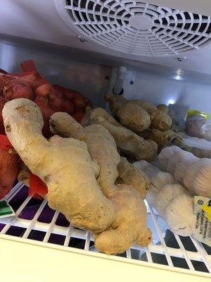 Biggest ginger root ever?!