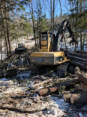 Clearing a house lot.