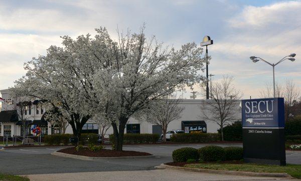 State Employees’ Credit Union