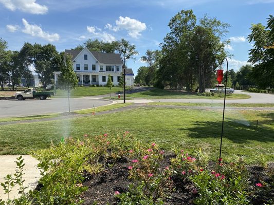 Clean installation of Rachio sprinkler system.