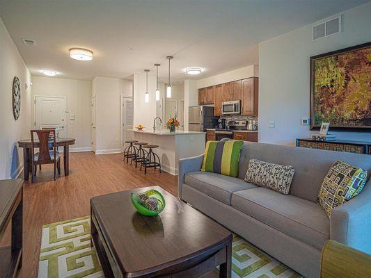 Open Kitchen Living Room