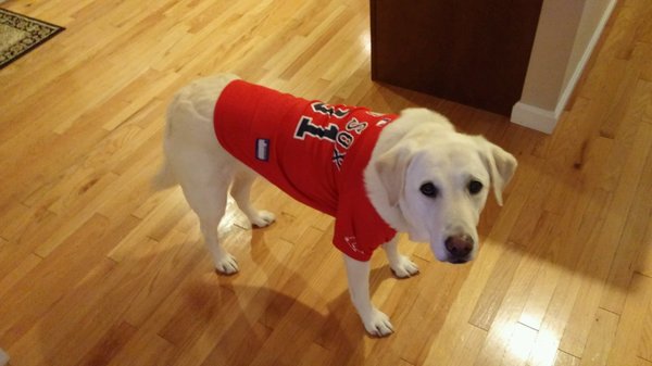 Supporting our local team, GO RED SOX!