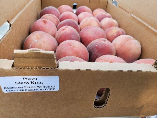 Organic white peaches from Kashiwase Farms