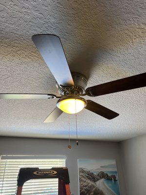 Ceiling fans