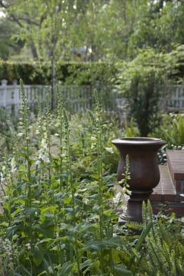 Front garden in Palo Alto with urn fountain and green & white plant palette.