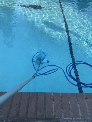 Vacuum your pool without having to dirty your filter. We use the hammerhead vacuum cleaner.