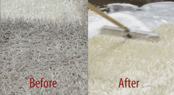 carpet Deodorizing