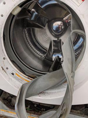 LG washing machine boot