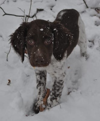 First Snow