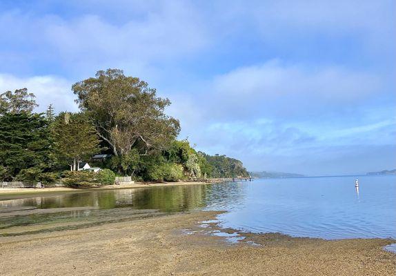 Low tide