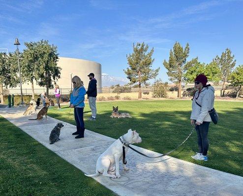 Obedience Class