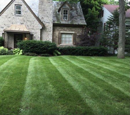 Manicure and mulching grass cutting and demo before and after