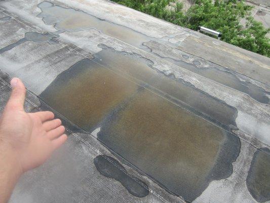 Water collection on the flat roof.