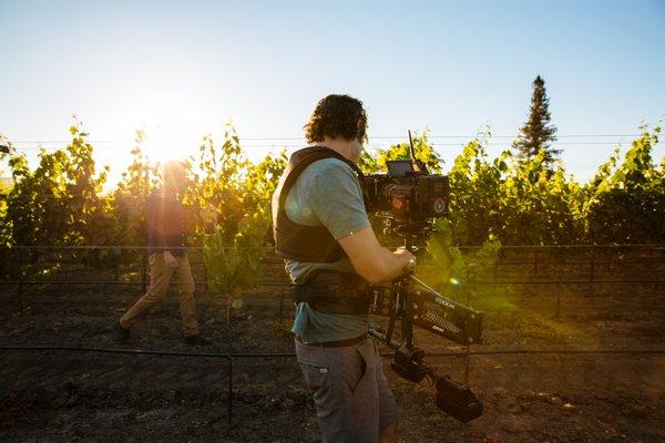 Lens Fire filming for Whitehall Lane Winery