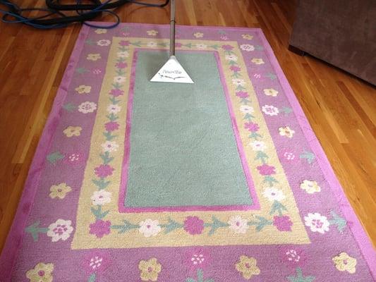 All types of area rugs cleaned