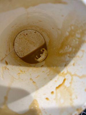 I just got to the bottom of my coffee, and there was this milk cap in there? Disgusting!