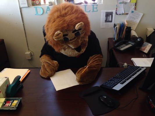 Taylion's mascot, Taylor the Lion.