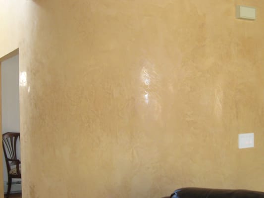 Venetian Plaster