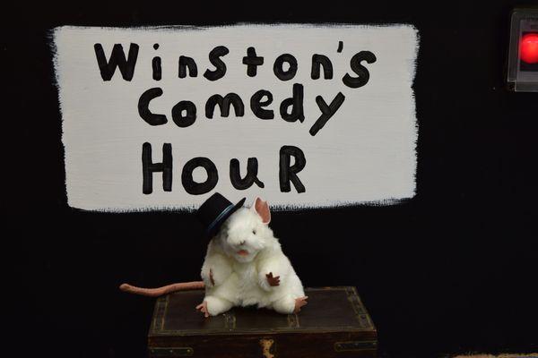 Winston's Rescue, this little doormouse needs your help, he promises to tell some funny jokes too.