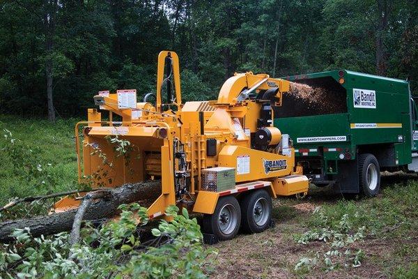 We help with tree services