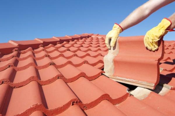 We repair shingles