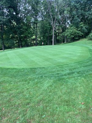 Working hard on our greens