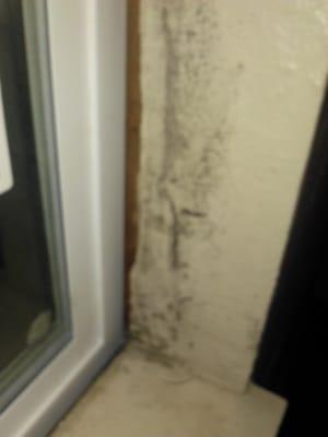 mold, gap in window, you can see out side through cracks