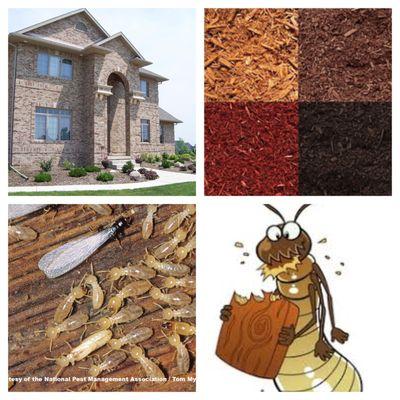 Don't put termite food around your home!