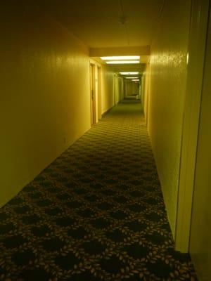 view (loong creepy hallway) to the right from our room.