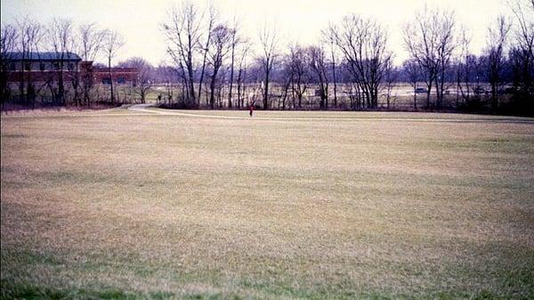 Back field of the rec center