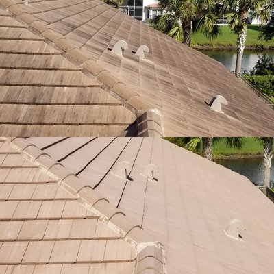 Roof Cleaning