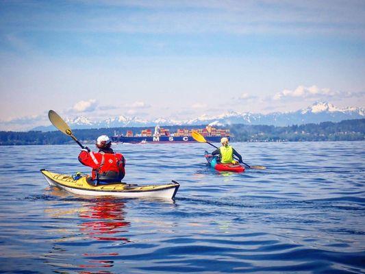 Salmon Bay Paddle