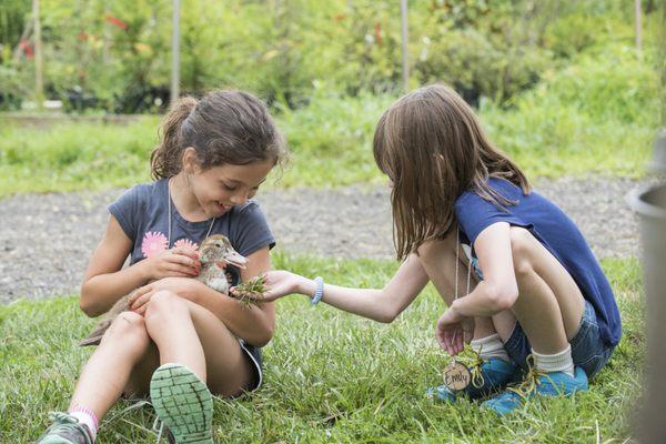 Fernbrook Farms Education Center