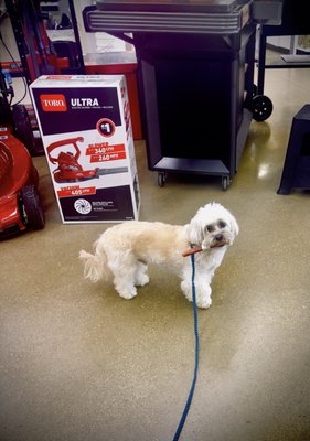 Loki comes here to pick out "bones" while we get "stuff"