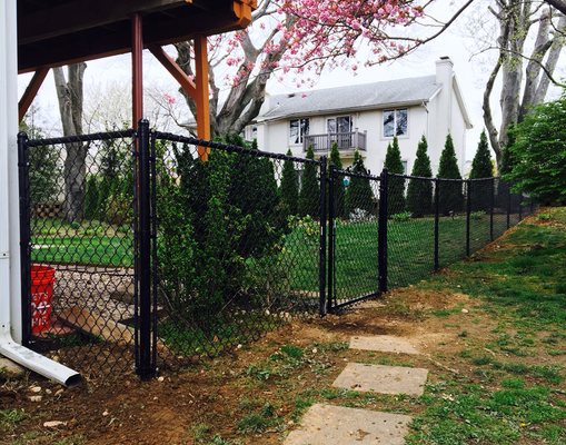 Chain Link/Cyclone Fence