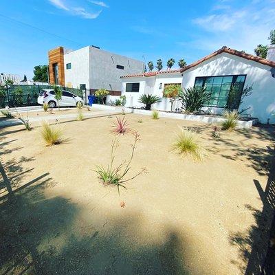 Desert design landscaping