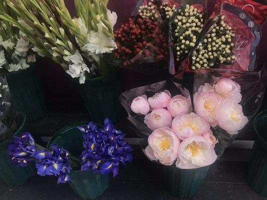 Really lovely peonies and irises available now