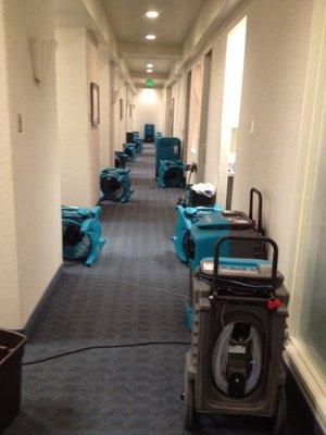 COMMERCIAL HOTEL EMERGENCY WATER DAMAGE. HURRICANE HARVEY