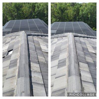 Roof Cleaning Reunion Fl