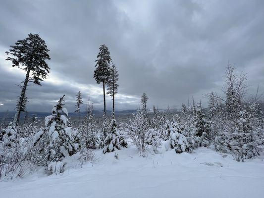 View from the trail at an early point.