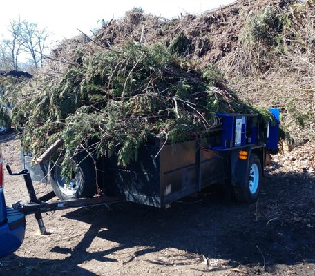 Yard waste removed